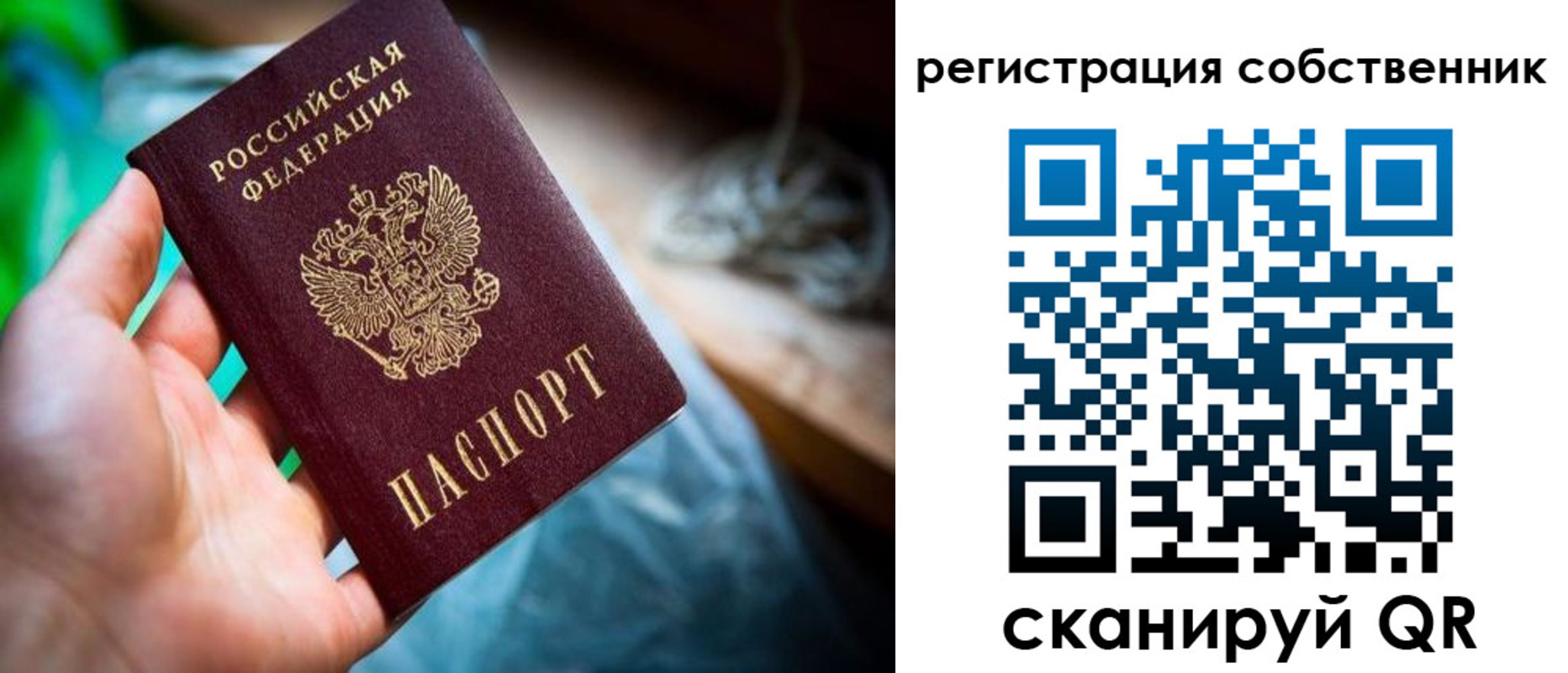 прописка гарантия в Краснослободске